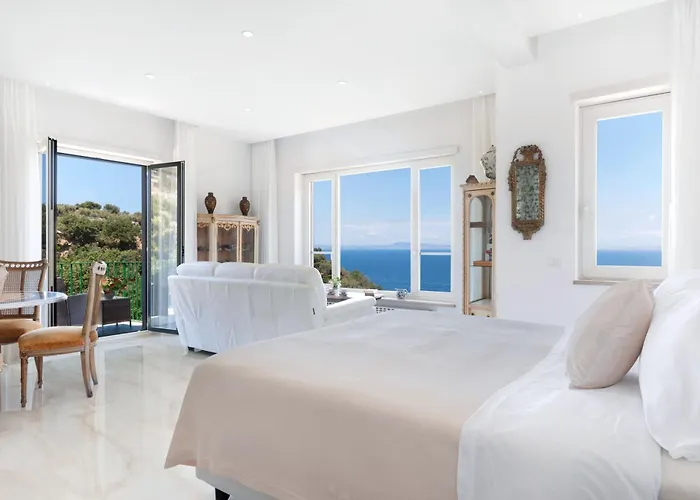 Pet Friendly hotel: Hotel Desiree